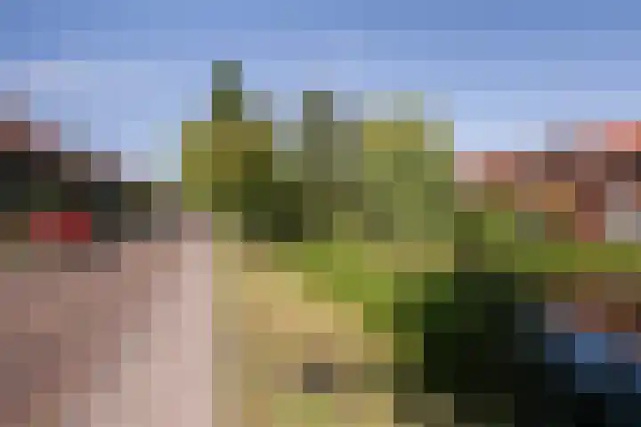 Surinamesingel 21 Vlaardingen thumbnail 5