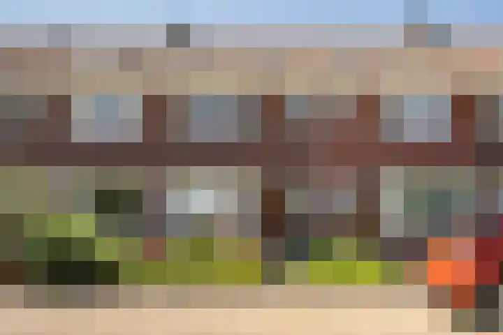 Surinamesingel 21 Vlaardingen thumbnail 6