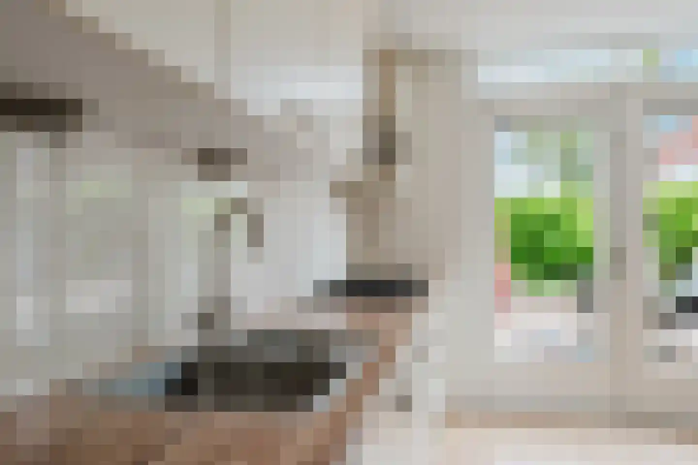 Surinamesingel 25 Heerenveen thumbnail 13