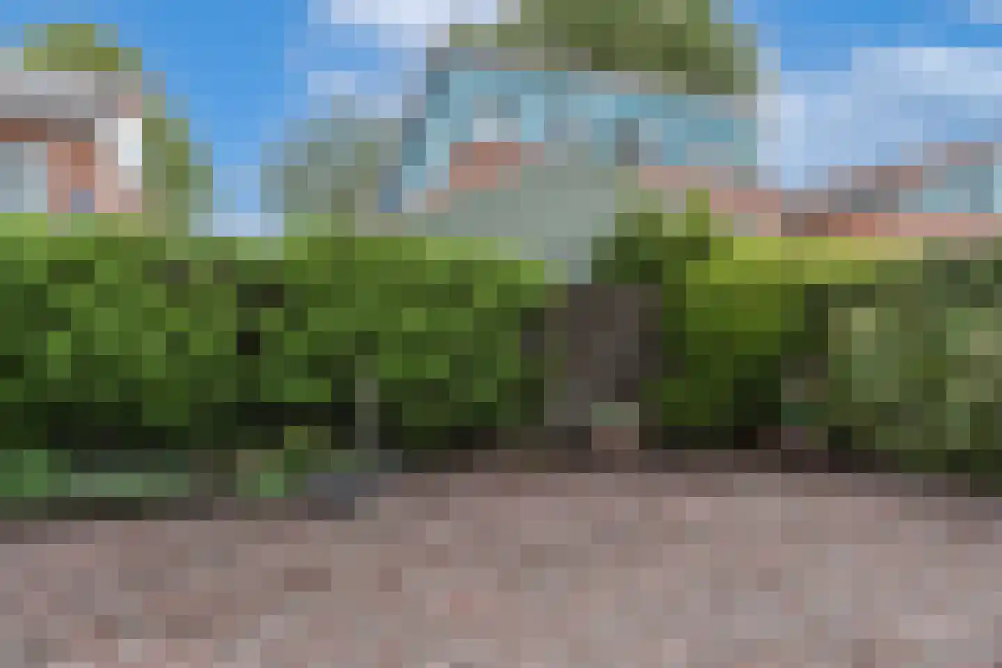 Surinamesingel 25 Heerenveen thumbnail 22
