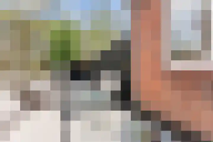 Surinamesingel 37 Vlaardingen thumbnail 18
