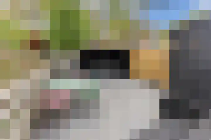 Surinamesingel 37 Vlaardingen thumbnail 21