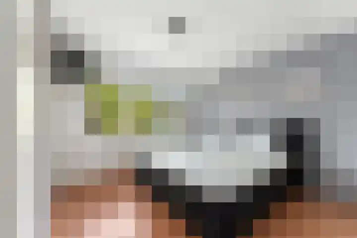 Surinamesingel 37 Vlaardingen thumbnail 29