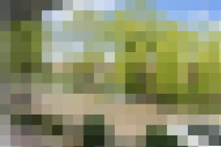 Surinamesingel 37 Vlaardingen thumbnail 30