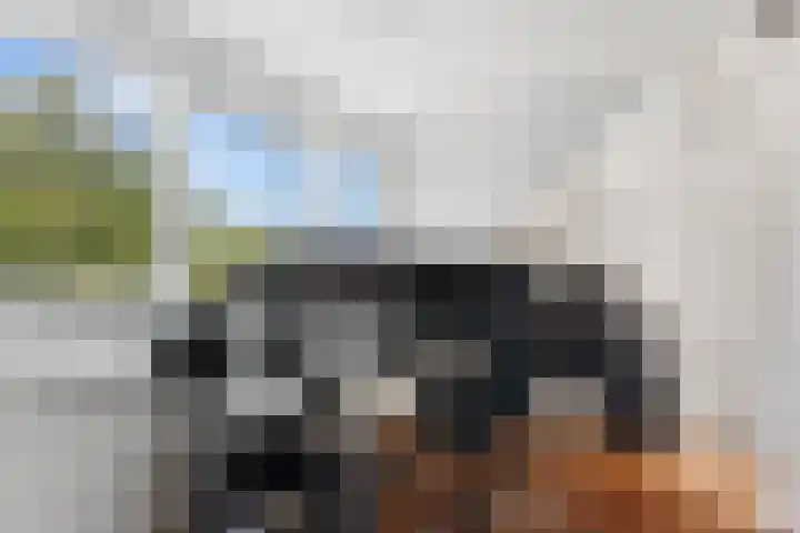 Surinamesingel 37 Vlaardingen thumbnail 45