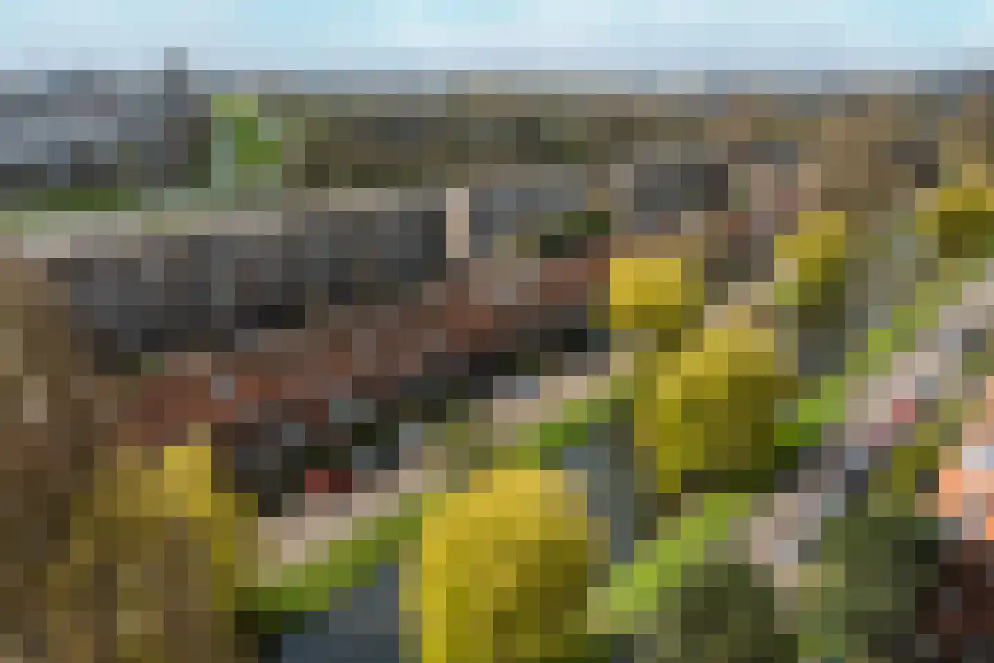 Surinamesingel 37 Vlaardingen thumbnail 46