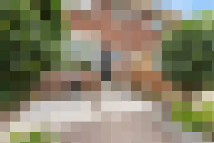 Surinamesingel 37 Vlaardingen thumbnail 46