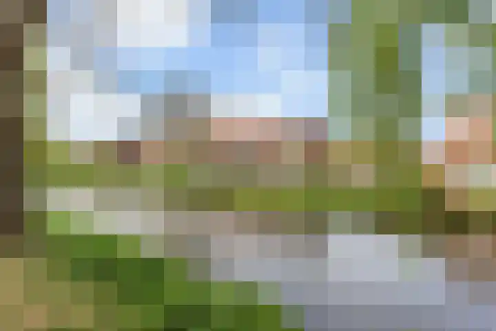 Surinamesingel 37 Vlaardingen thumbnail 49