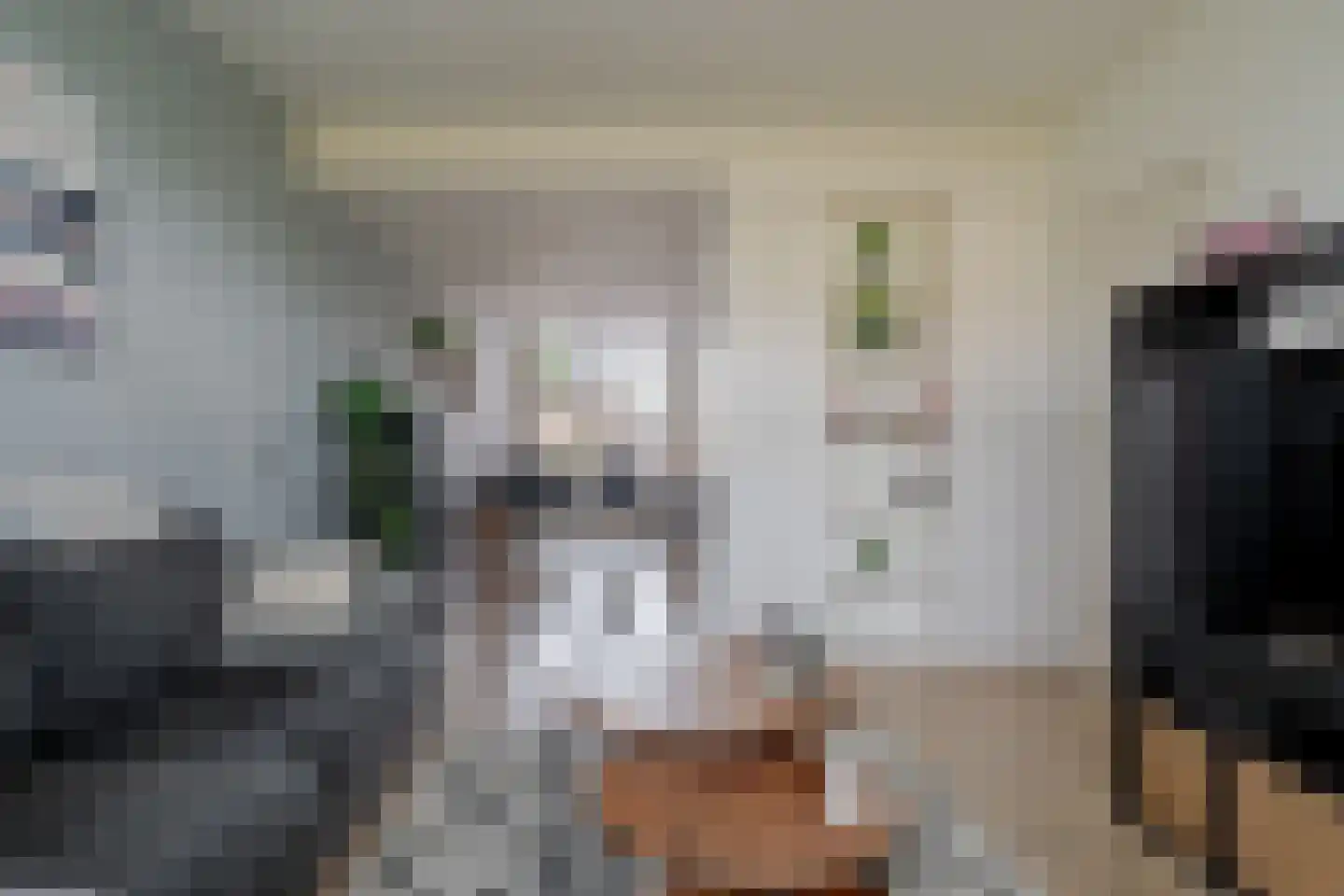 Surinamesingel 9 Heerenveen thumbnail 12