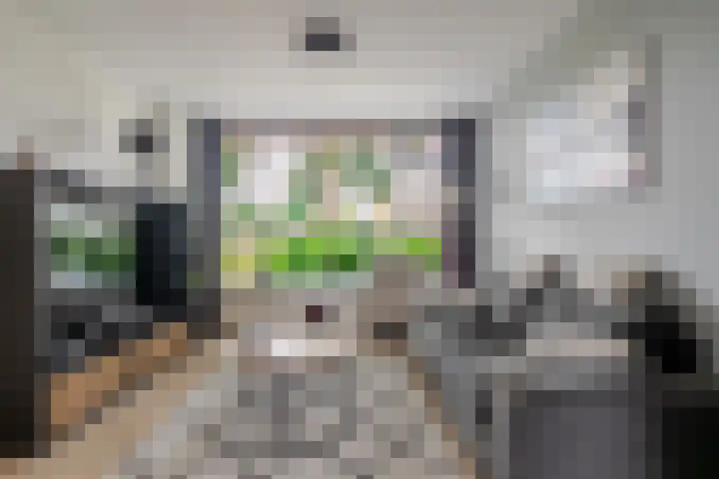 Surinamesingel 9 Heerenveen thumbnail 8