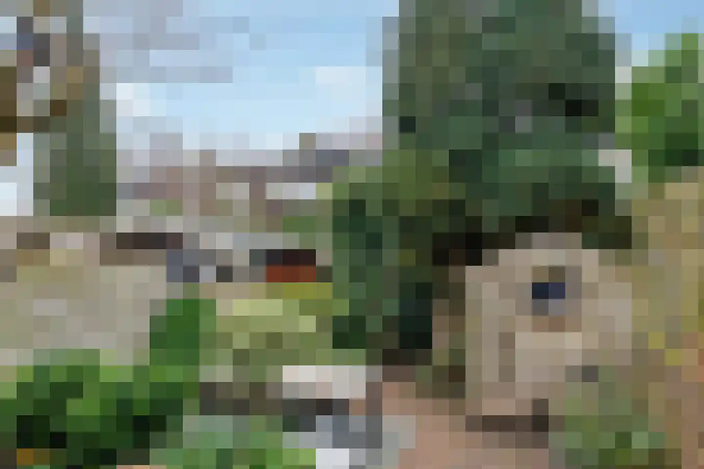 Surinamesingel 95 Vlaardingen thumbnail 13