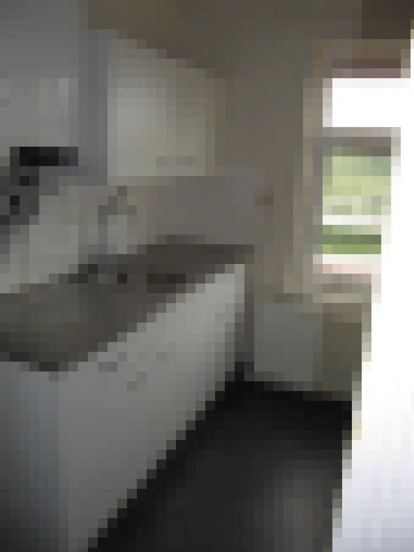 Surinamestraat 1 b Leeuwarden thumbnail 8