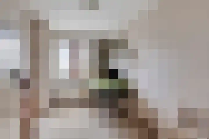 Surinamestraat 1 Wormerveer thumbnail 23