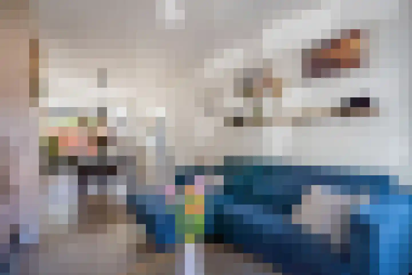 Surinamestraat 123 Utrecht thumbnail 16
