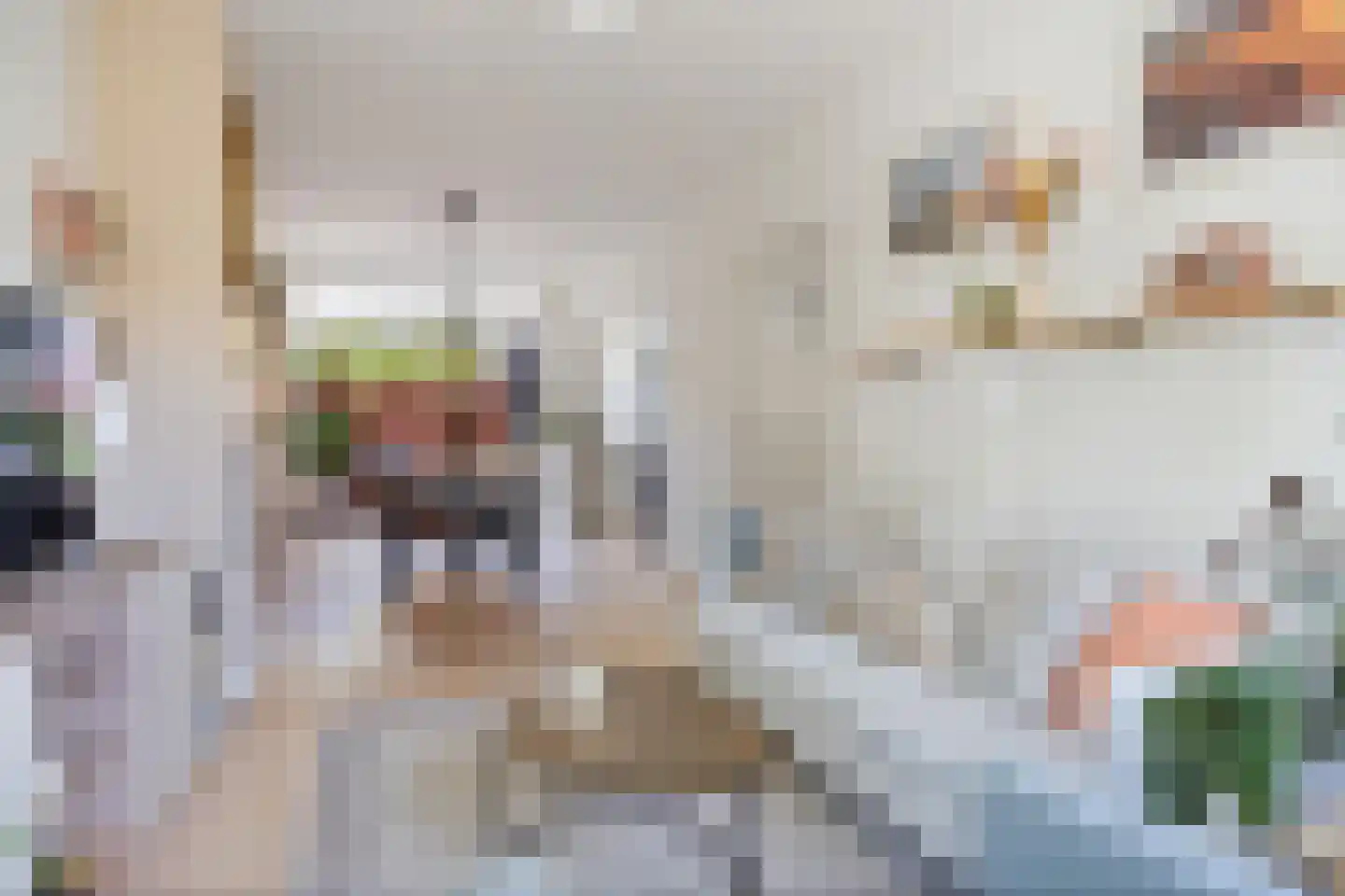 Surinamestraat 123 Utrecht thumbnail 6
