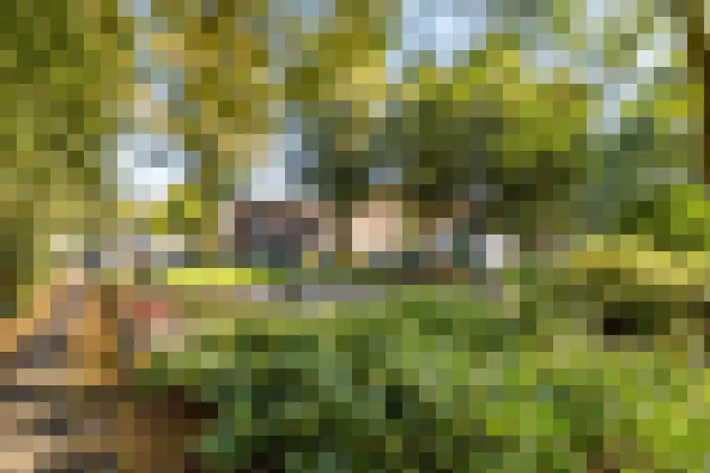Surinamestraat 128 Utrecht thumbnail 51