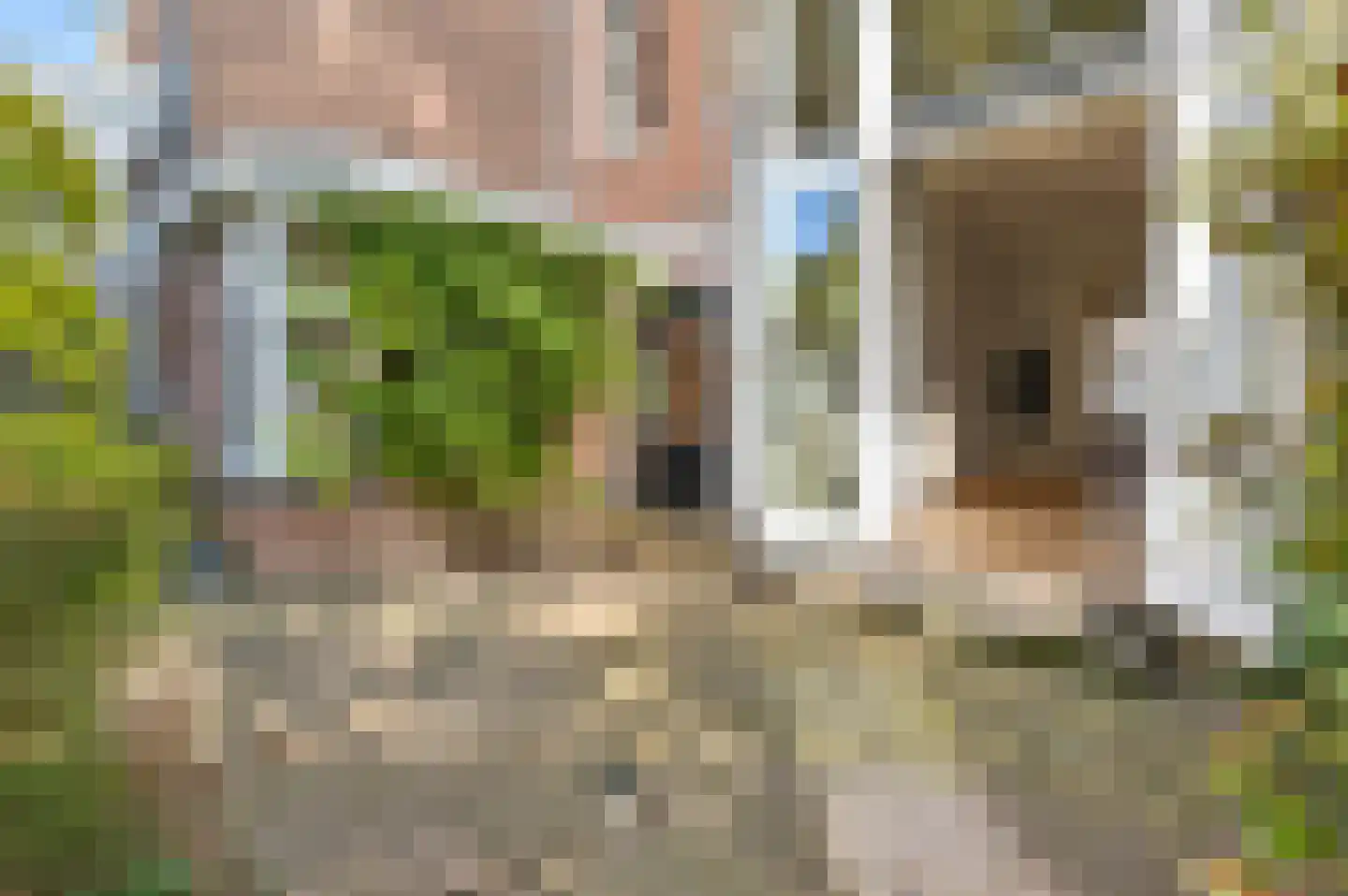 Surinamestraat 16 Den Haag thumbnail 37