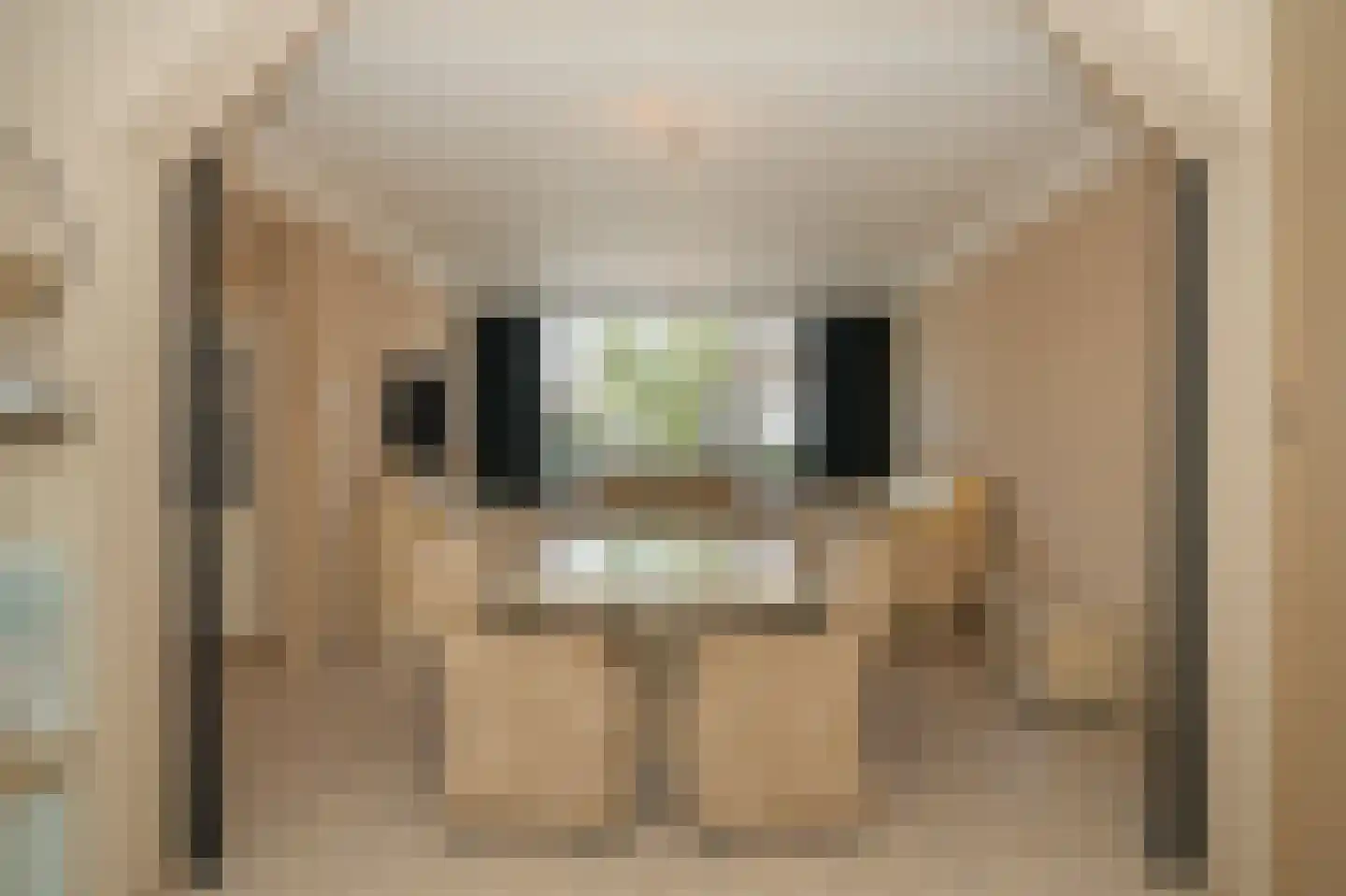 Surinamestraat 2 Kerkdriel thumbnail 15