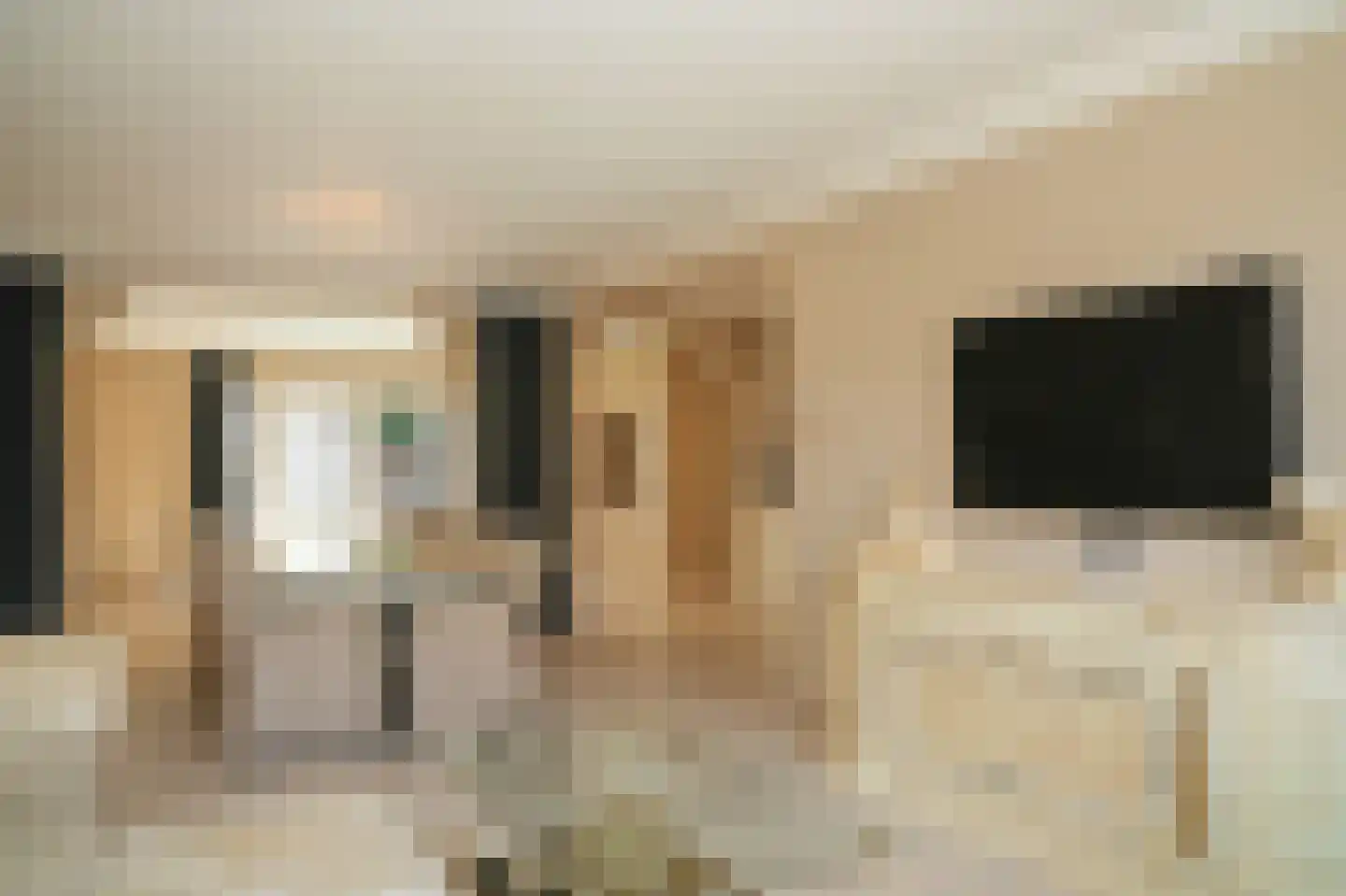 Surinamestraat 2 Kerkdriel thumbnail 5