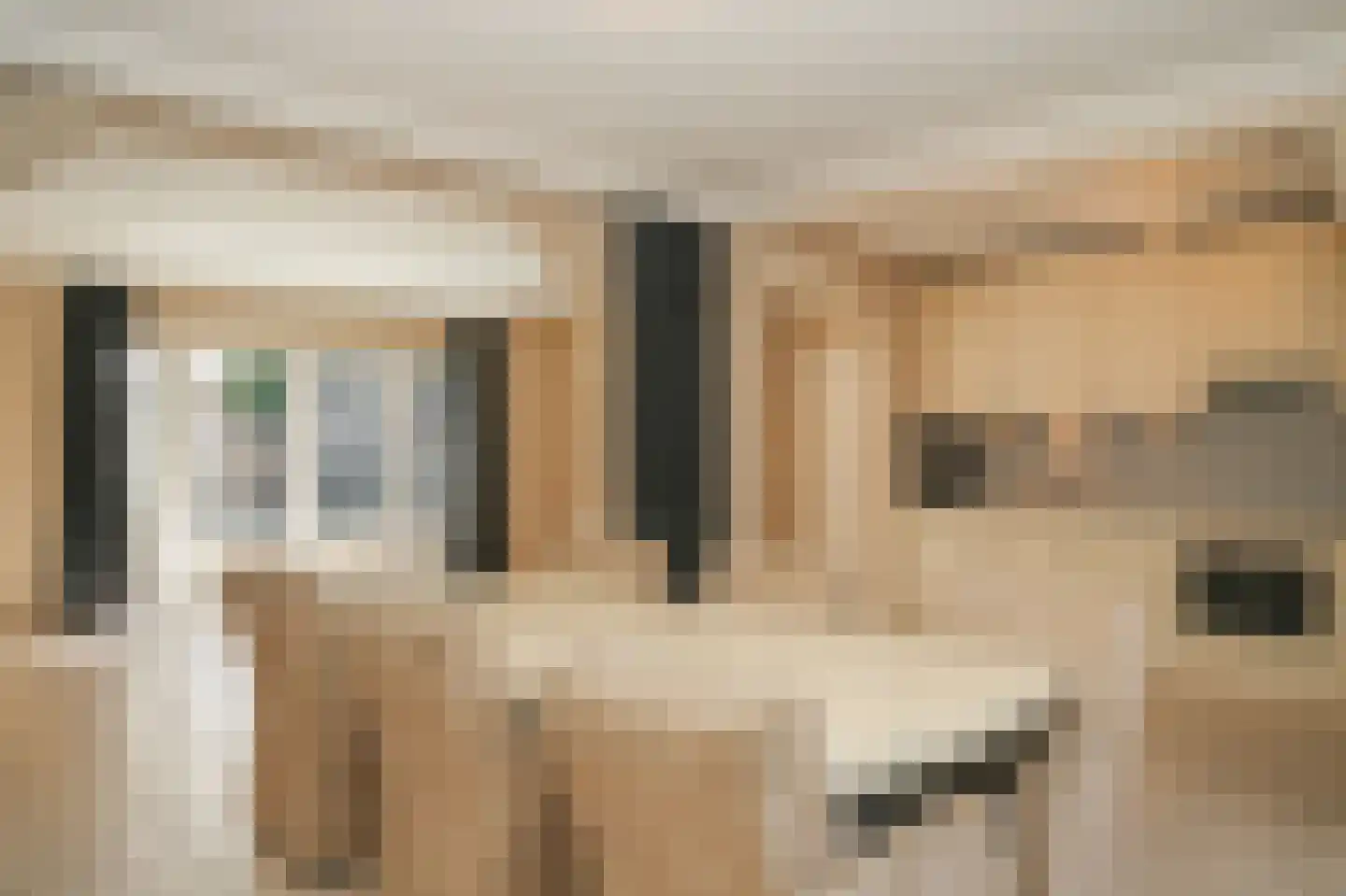 Surinamestraat 2 Kerkdriel thumbnail 8