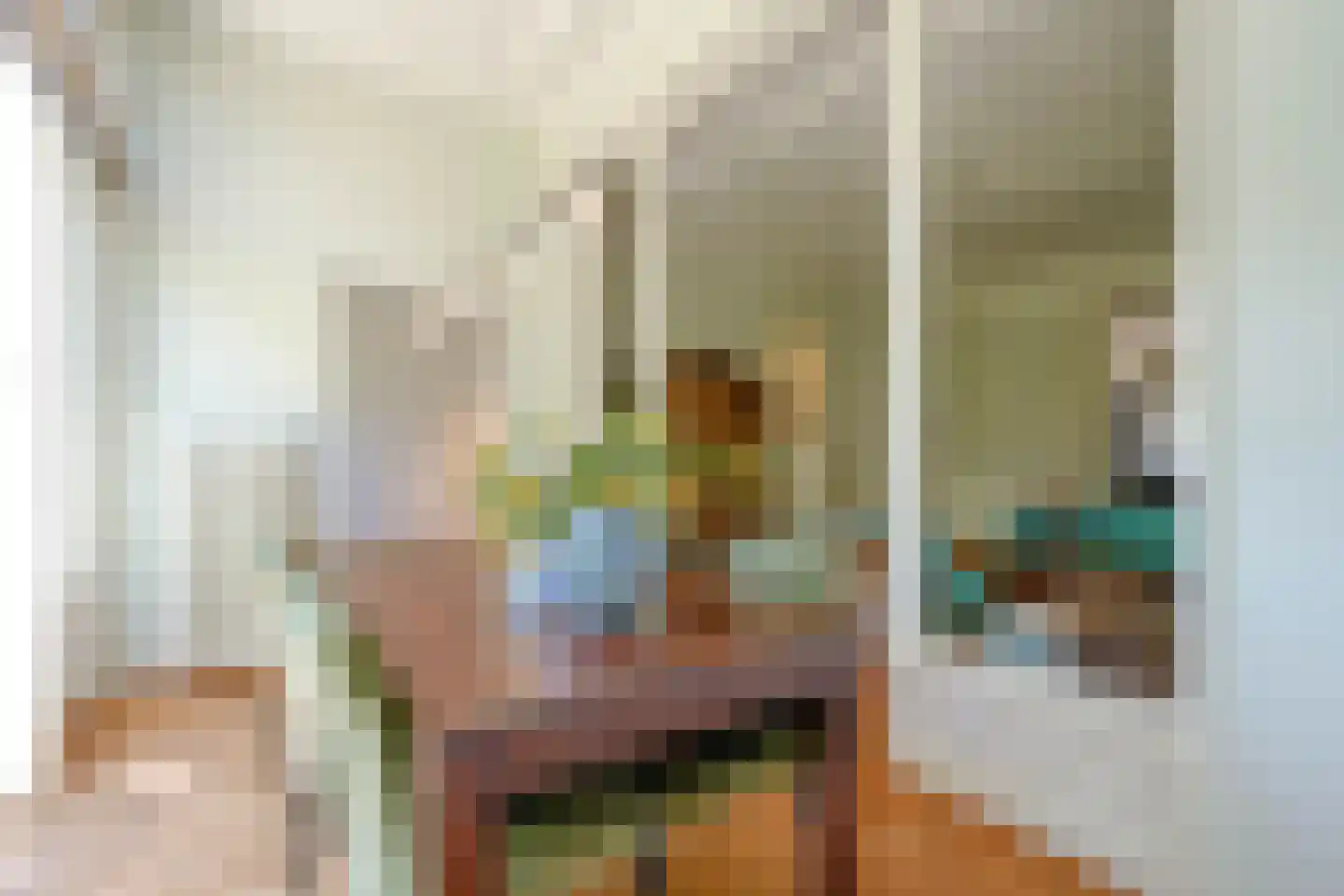 Surinamestraat 21 Den Haag thumbnail 36