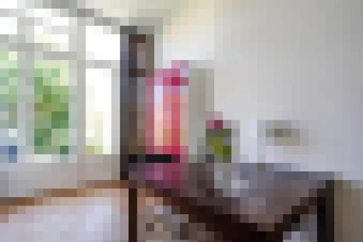 Surinamestraat 21 Den Haag thumbnail 64