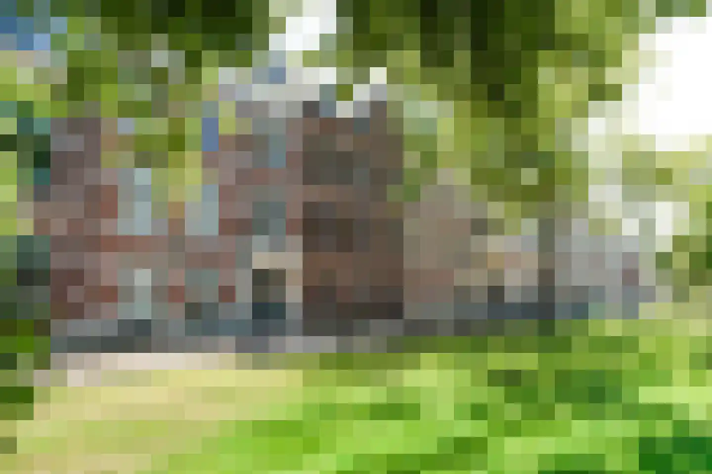Surinamestraat 21 Den Haag thumbnail 9