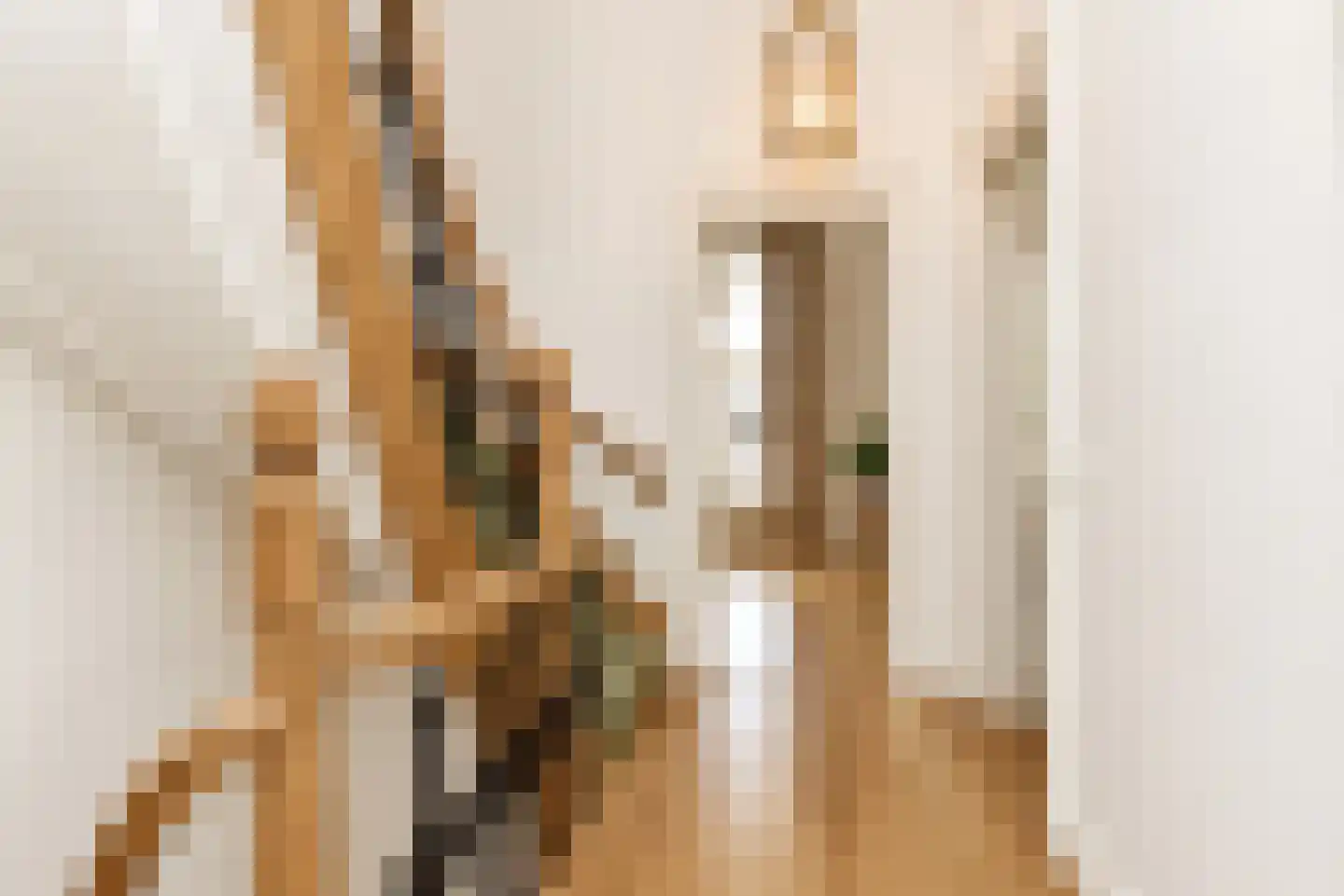 Surinamestraat 23 Den Haag thumbnail 64