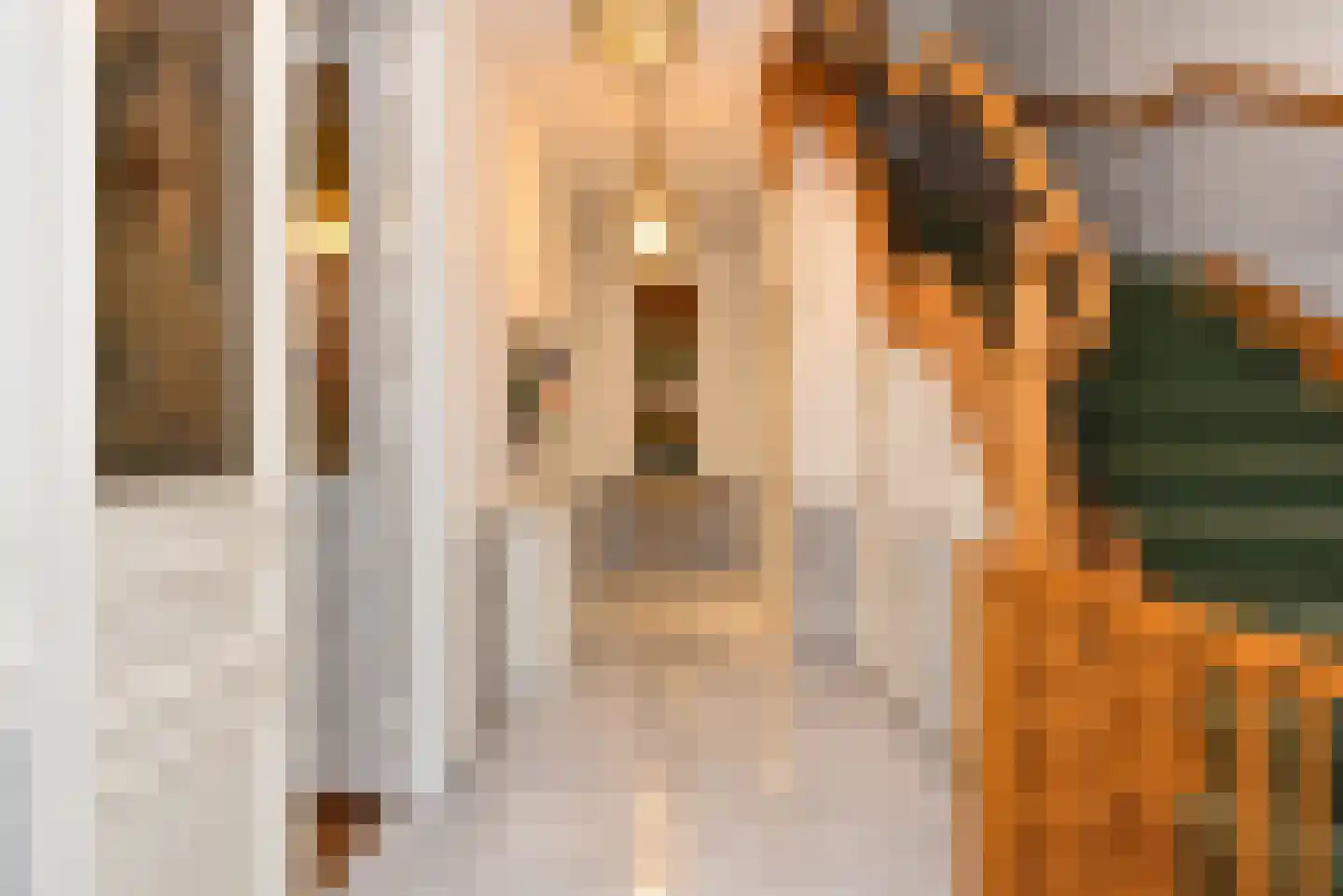 Surinamestraat 23 Den Haag thumbnail 9
