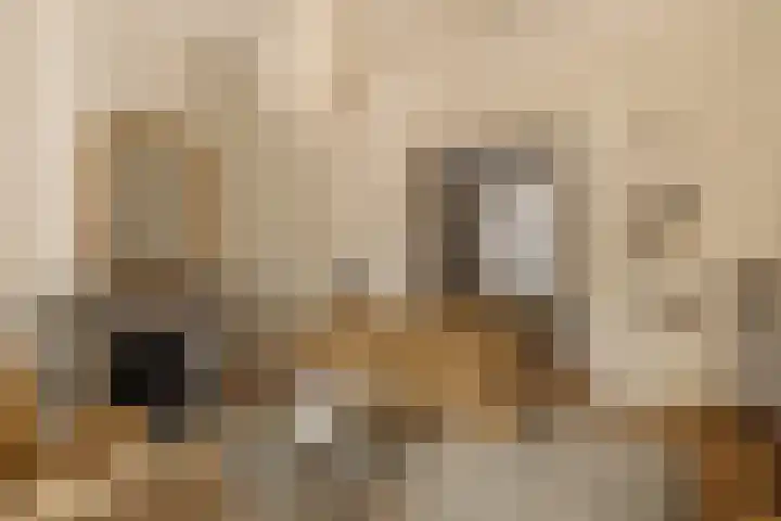 Surinamestraat 32 Den Haag thumbnail 16