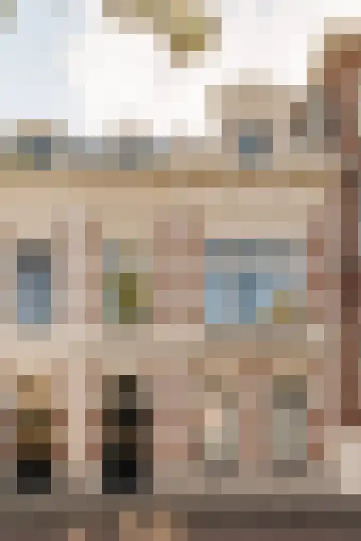 Surinamestraat 32 Den Haag thumbnail 5