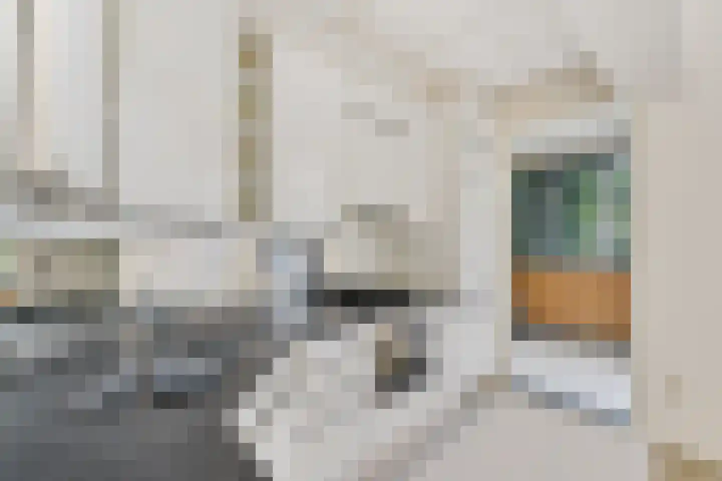 Surinamestraat 33 Utrecht thumbnail 10