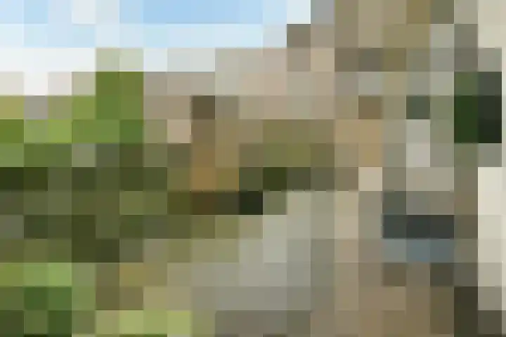Surinamestraat 36 1 Amsterdam thumbnail 12