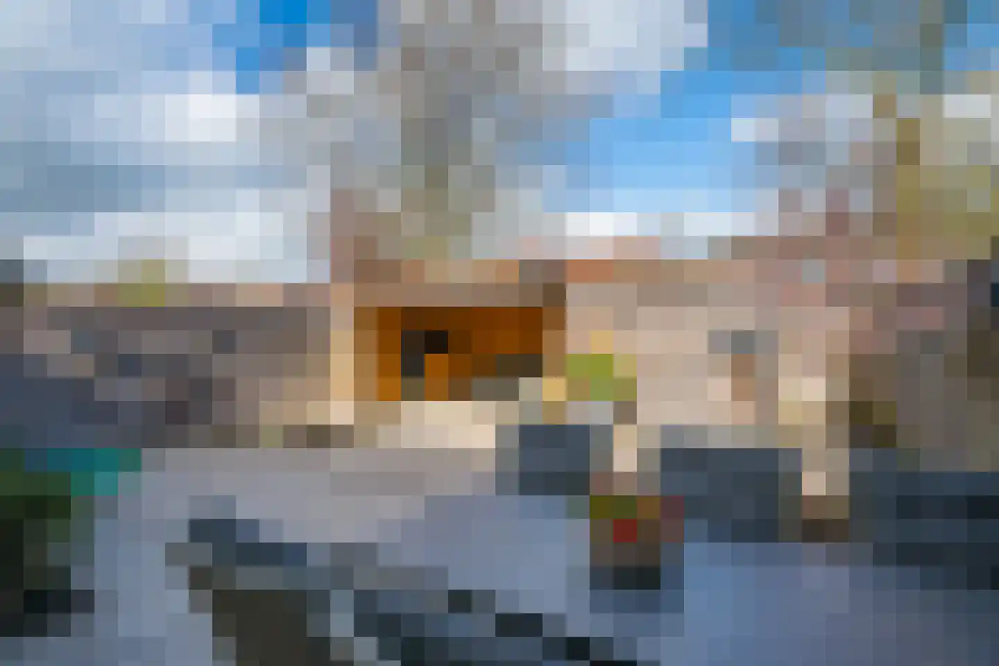 Surinamestraat 4 Winterswijk thumbnail 41