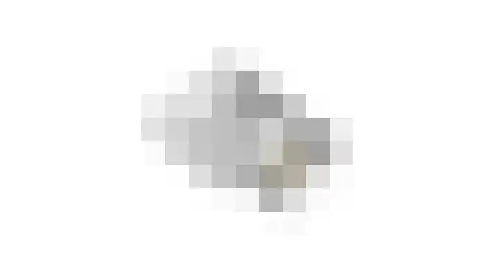 Surinamestraat 4 Winterswijk thumbnail 63