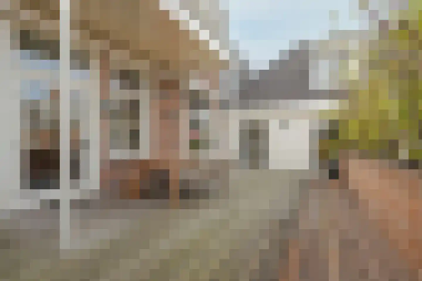 Surinamestraat 49 Den Haag thumbnail 22