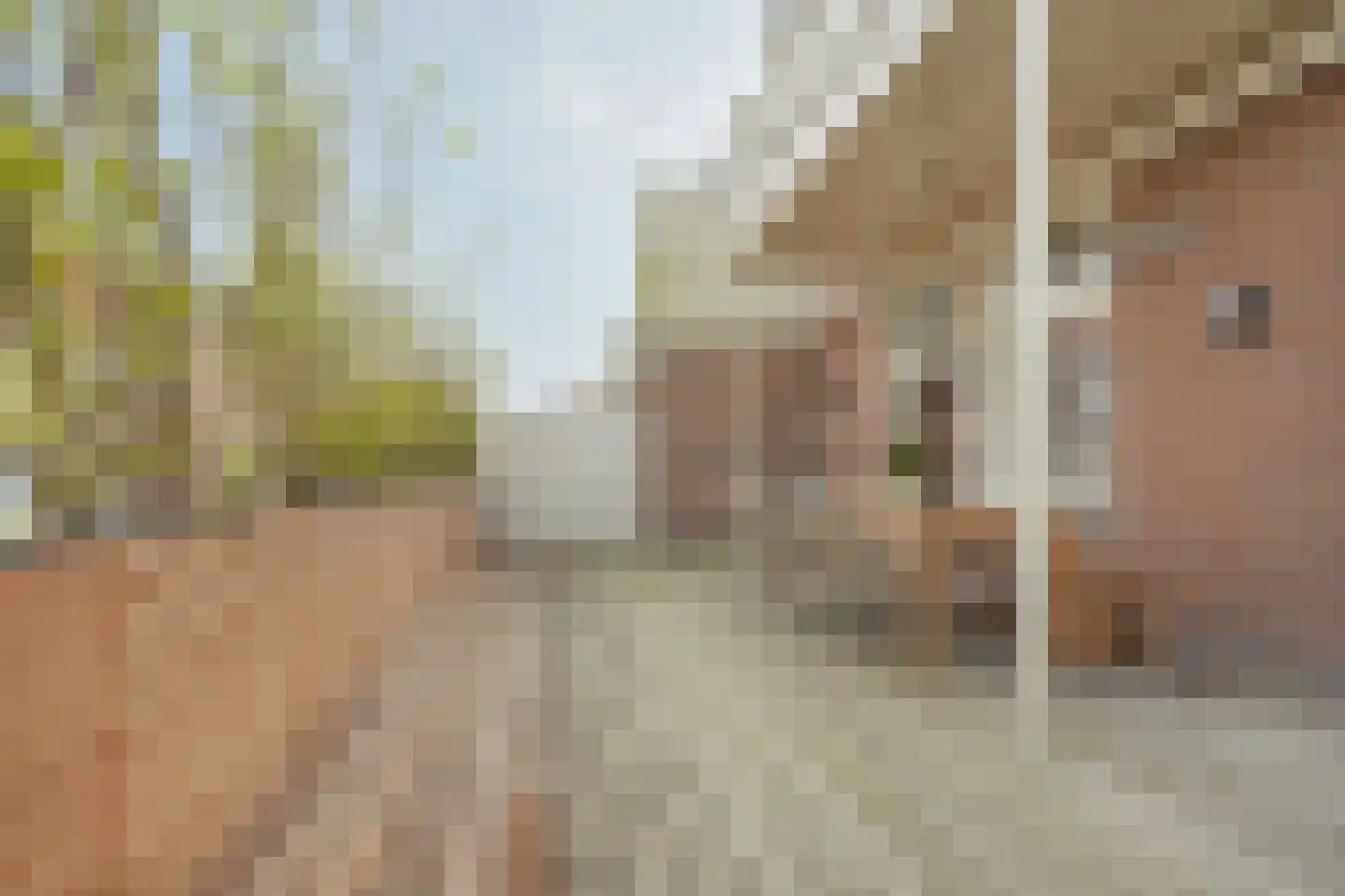 Surinamestraat 49 Den Haag thumbnail 23