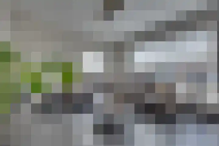Surinamestraat 6 Winterswijk thumbnail 10
