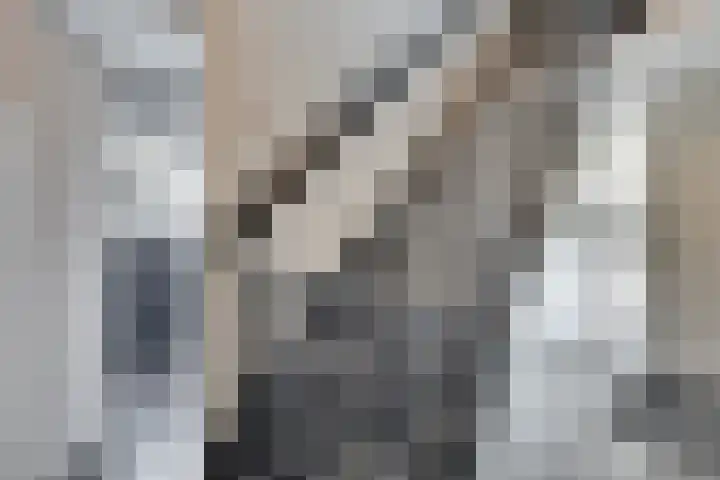 Surinamestraat 6 Winterswijk thumbnail 28