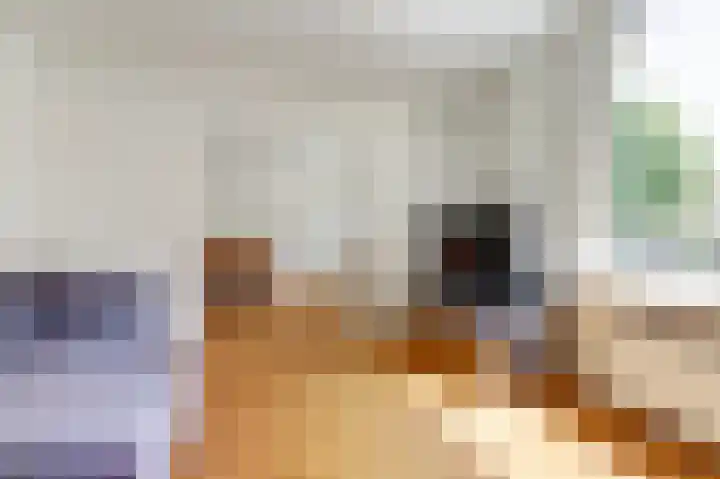 Surinamestraat 81 Utrecht thumbnail 5