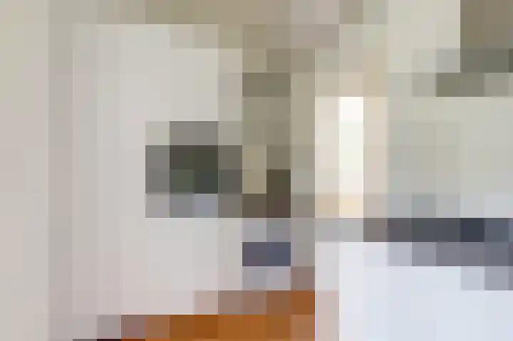 Surinamestraat 81 Utrecht thumbnail 8
