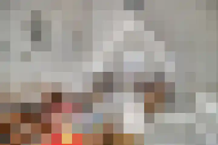 Suringarstraat 4 Boskoop thumbnail 20