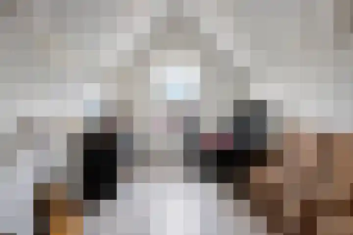 Suringarstraat 4 Boskoop thumbnail 21
