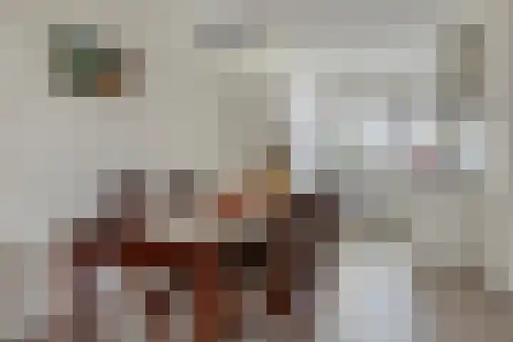 Suringarstraat 4 Boskoop thumbnail 6