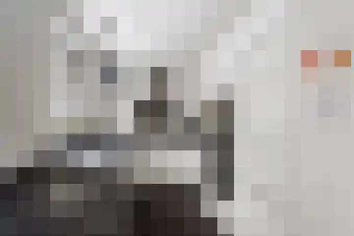 Surinkhof 9 Dieren thumbnail 13