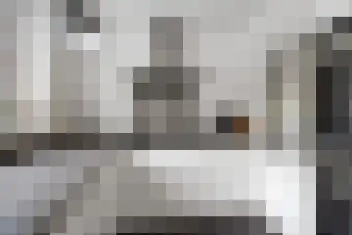 Surinkhof 9 Dieren thumbnail 14