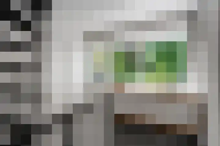 Surinkhof 9 Dieren thumbnail 21