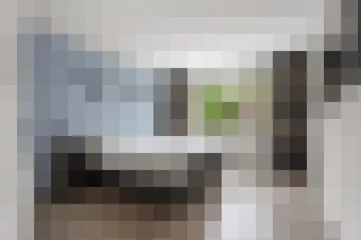 Surinkhof 9 Dieren thumbnail 22