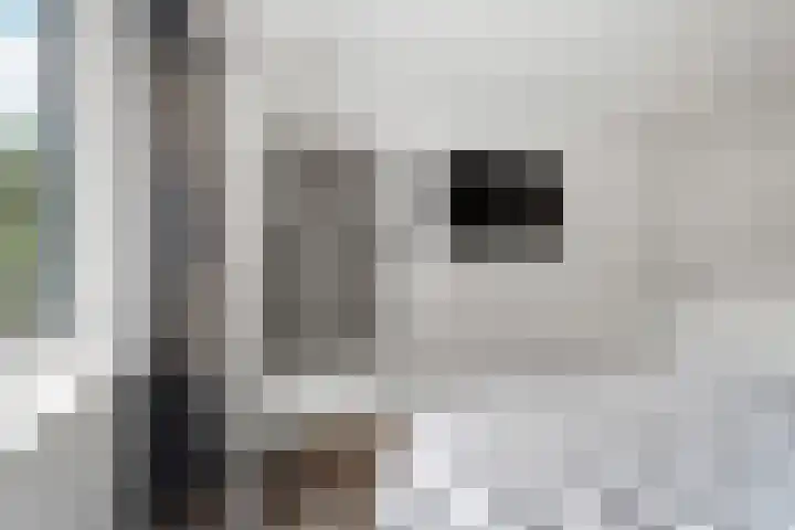 Surinkhof 9 Dieren thumbnail 23