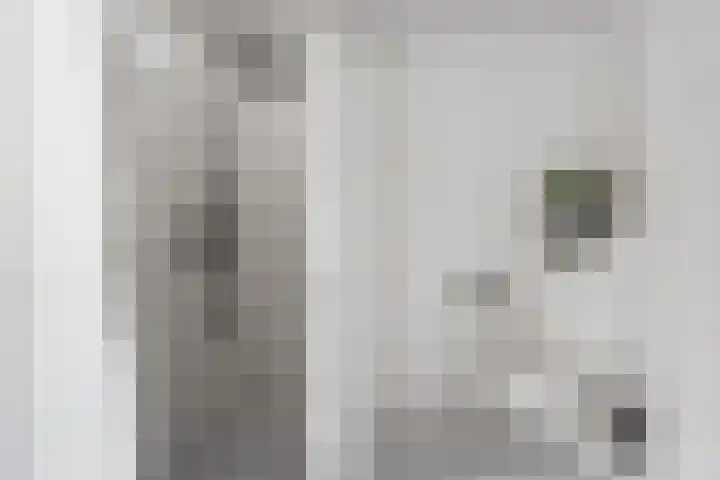 Surinkhof 9 Dieren thumbnail 25